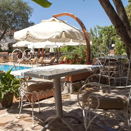 Hotel Peace 2*