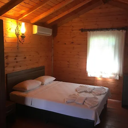 Peace אולודניץ